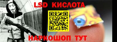 шишки Боровичи