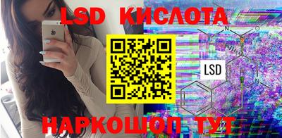 шишки Боровичи
