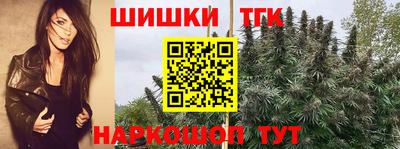 шишки Боровичи