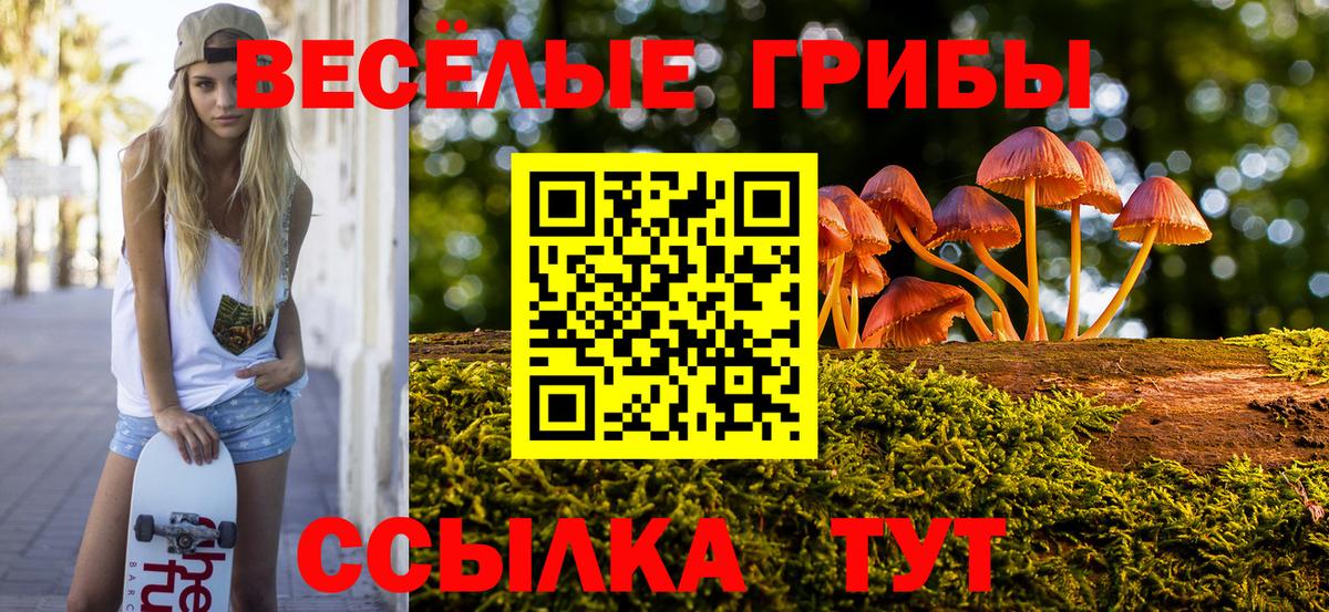 Галлюциногенные грибы Magic Shrooms  Вход с VPN  Норильск 
